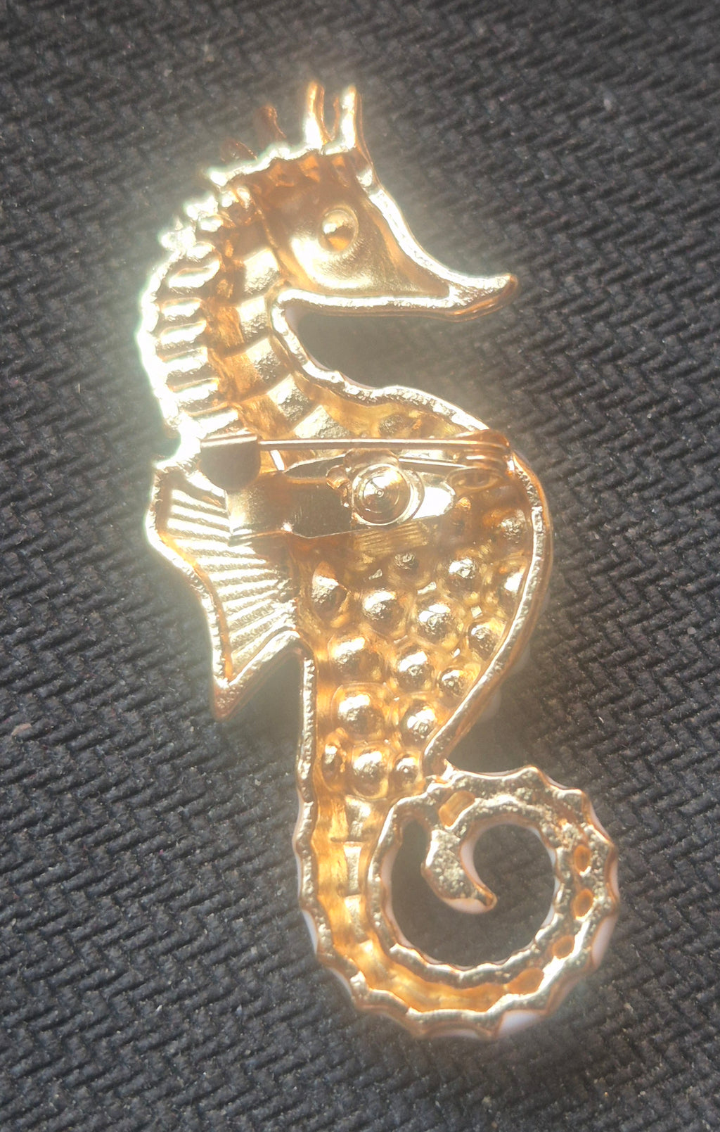 Broche vintage con forma de caballito de mar de diseño elegante y marino